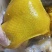 盐焗鸡腿广式盐焗鸡腿客家特产卤味手撕盐水鸡烧鸡
