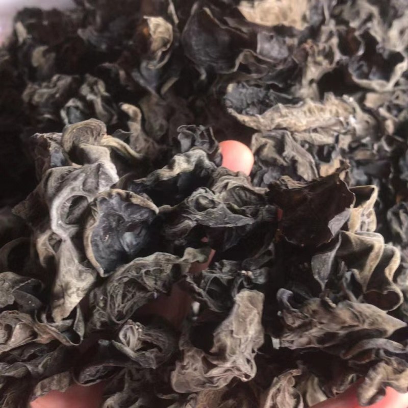 云南野生木耳品质保证诚信经营欢迎联系接商超市场电商