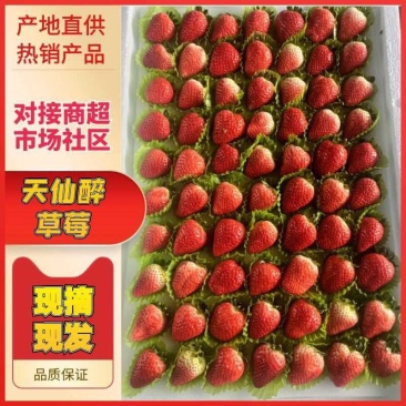 【奶油草莓】闻集妙香草莓支持全国发货天仙醉主产区