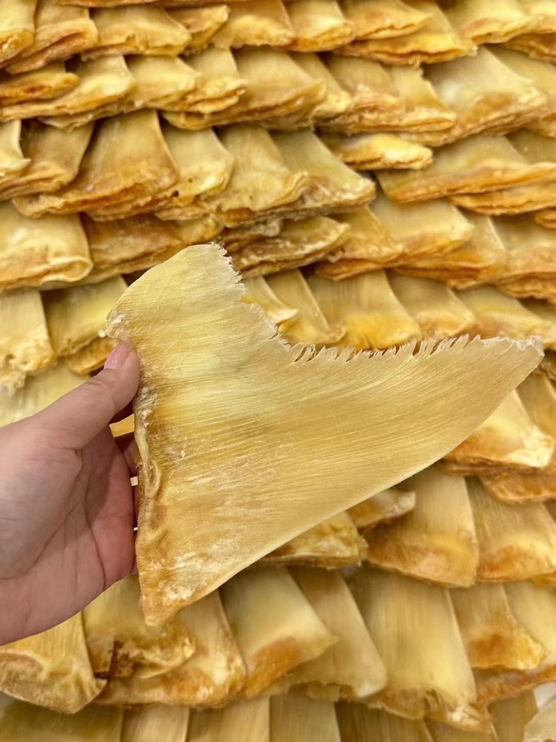 金勾翅鱼翅牙拣翅金鲍翅送礼佳品酒店食材滋补养生