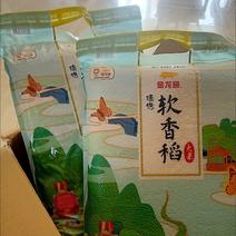 金龙鱼苏北大米软香稻大米臻选软香稻每袋5kg