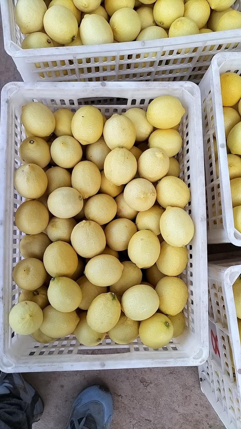 精品柠檬安岳柠檬大量有货产地直发品质保证诚信经营