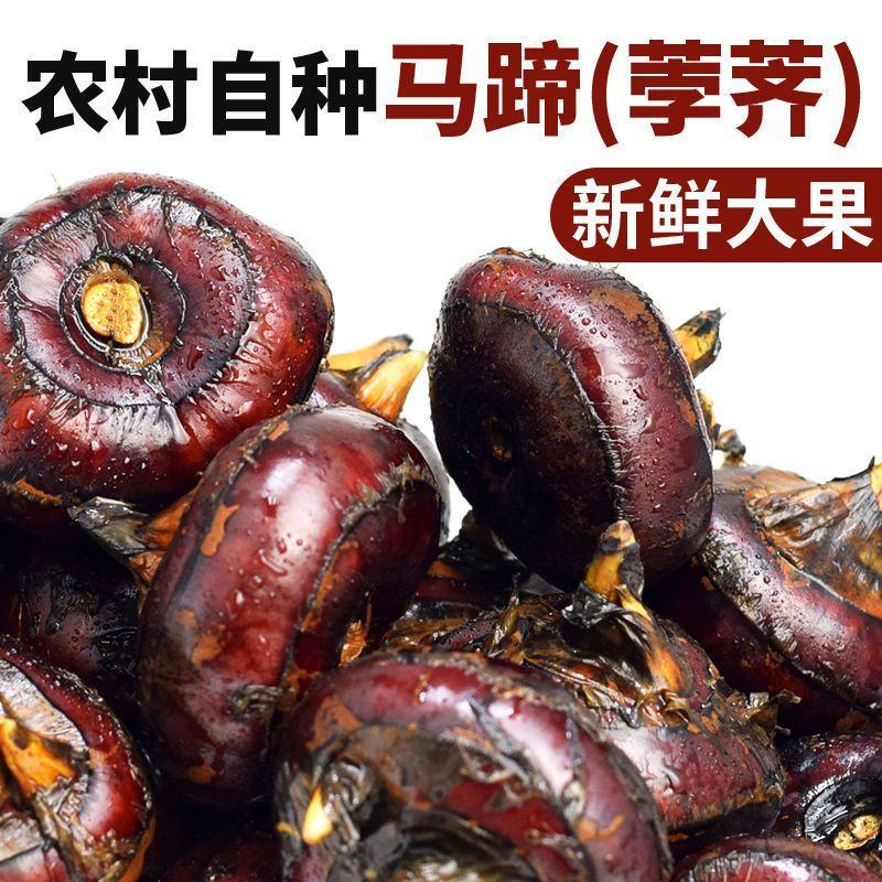 新鲜马蹄荸荠大地梨地栗子农家果子时令水果新鲜红马蹄果当季