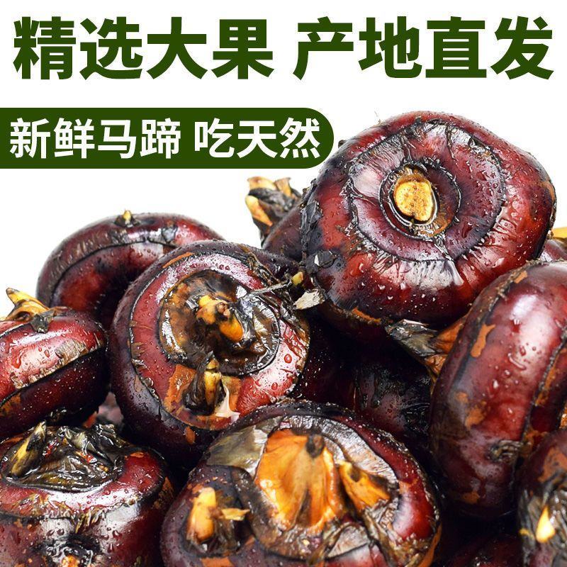 新鲜马蹄荸荠大地梨地栗子农家果子时令水果新鲜红马蹄果当季
