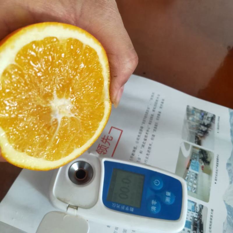 纽荷尔脐橙