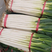 【新野大葱】精品铁杆大葱大量上市中，对接批发商，批发市场