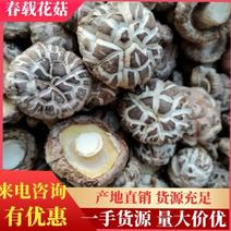 花菇安徽花菇保质保量支持代发视频看货大量供货欢迎下单