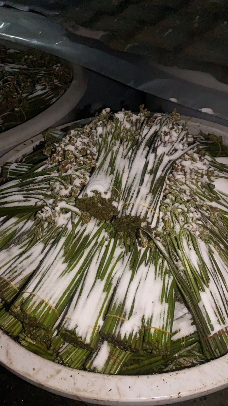预售2025年贵州野生蕨菜大量供应，需要可以提前下单