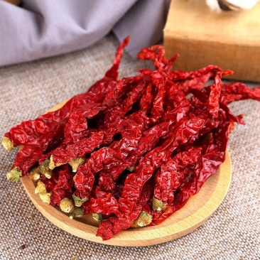 干二荆条红线椒