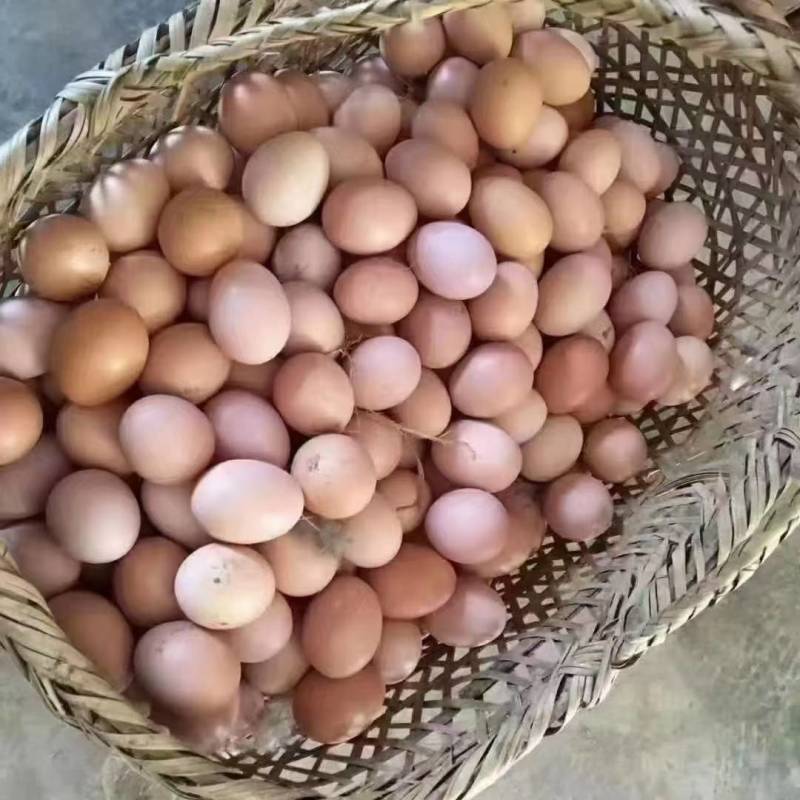 散养皖南土鸡蛋