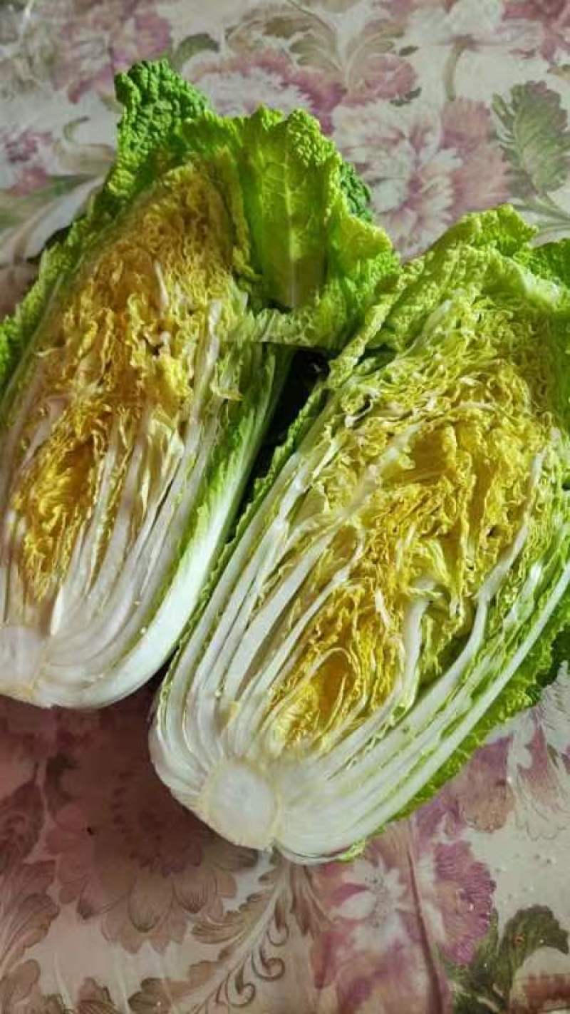 黄心白菜345斤净菜