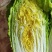 黄心白菜345斤净菜