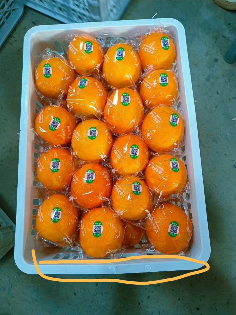 江西赣州赣南脐橙，工厂炸汁原料，一件代发，主播，市场
