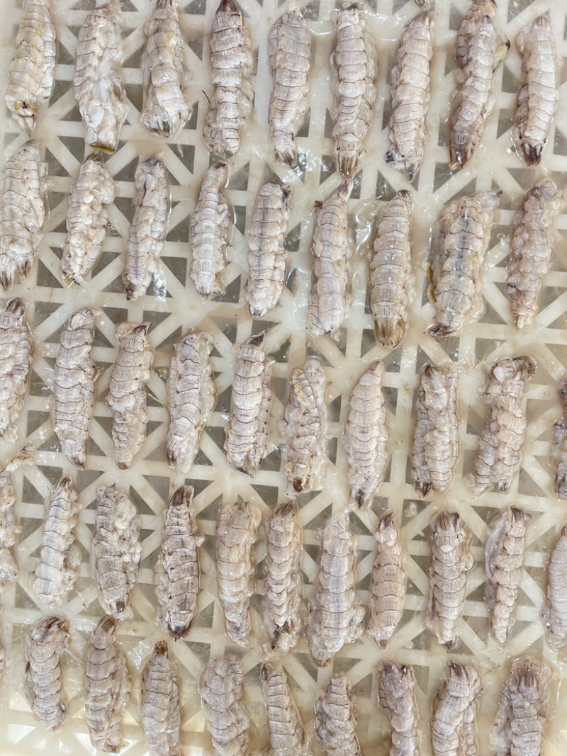 皮皮虾肉虾姑肉爬虾肉虾婆肉琵琶虾肉海鲜水产