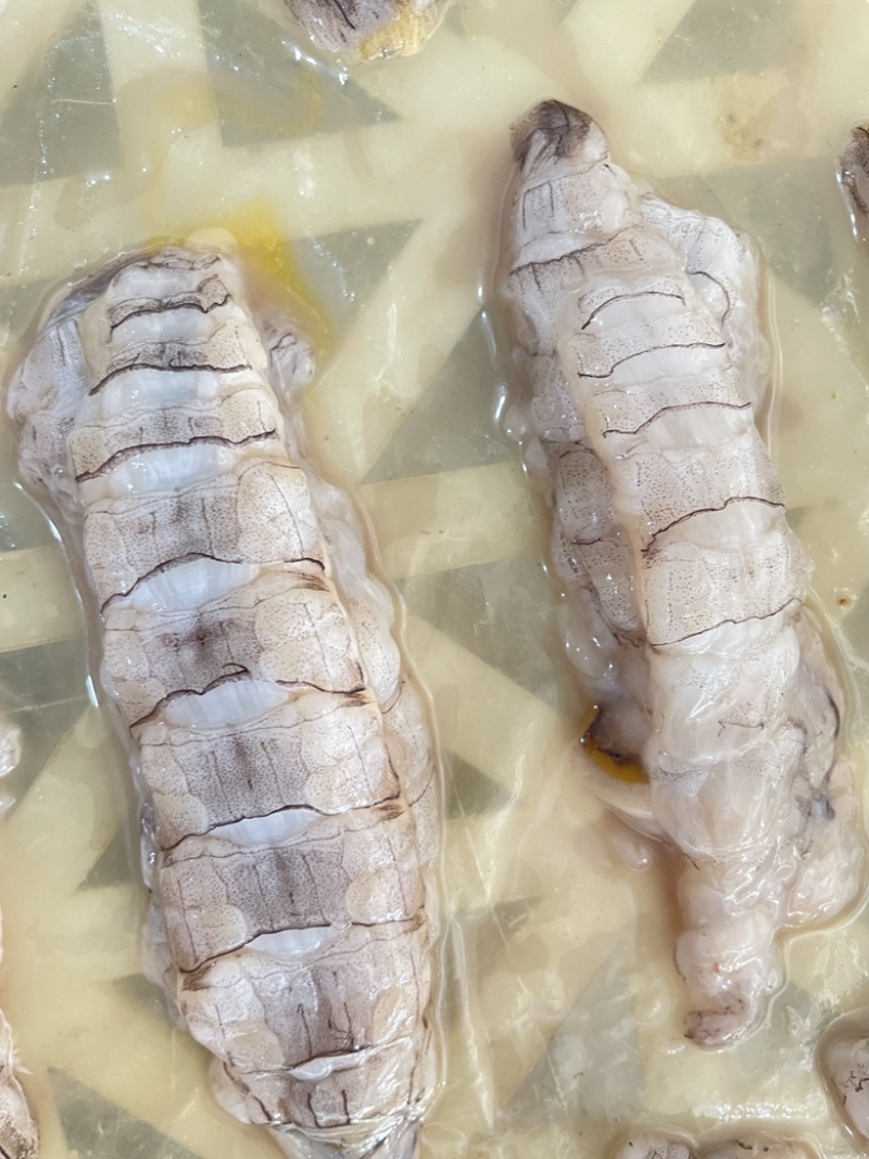 皮皮虾肉虾姑肉爬虾肉虾婆肉琵琶虾肉海鲜水产