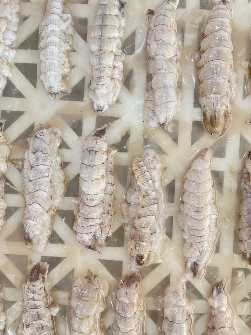 皮皮虾肉虾姑肉爬虾肉虾婆肉琵琶虾肉海鲜水产