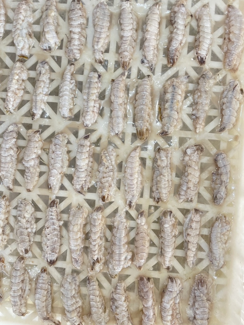 皮皮虾肉虾姑肉爬虾肉虾婆肉琵琶虾肉海鲜水产