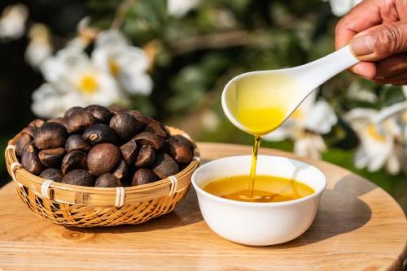 广西百色凌云小颗茶籽油