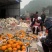 渠县脐橙，