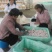攀枝花米易枇杷25克起天天有货，现摘现发，品质保证