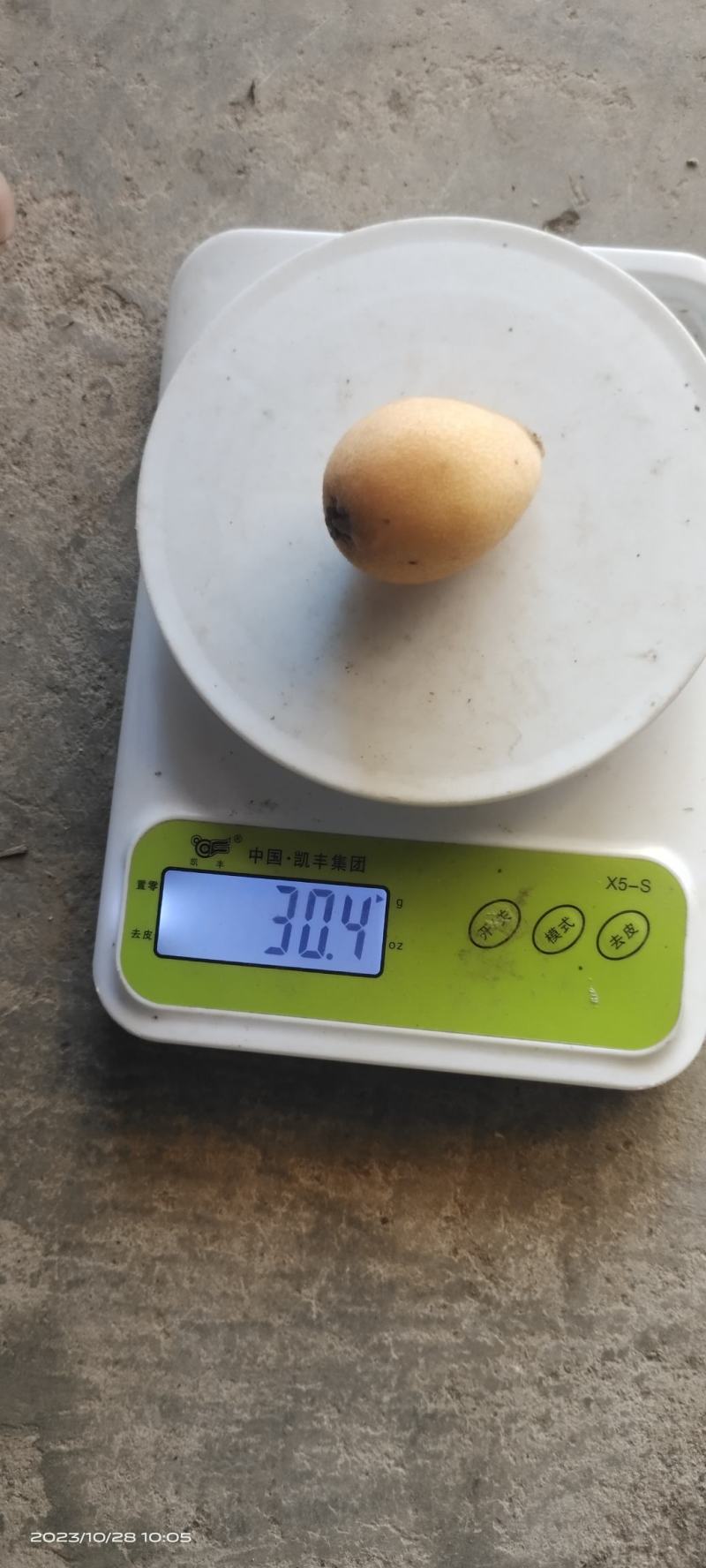 攀枝花米易枇杷25克起天天有货，现摘现发，品质保证