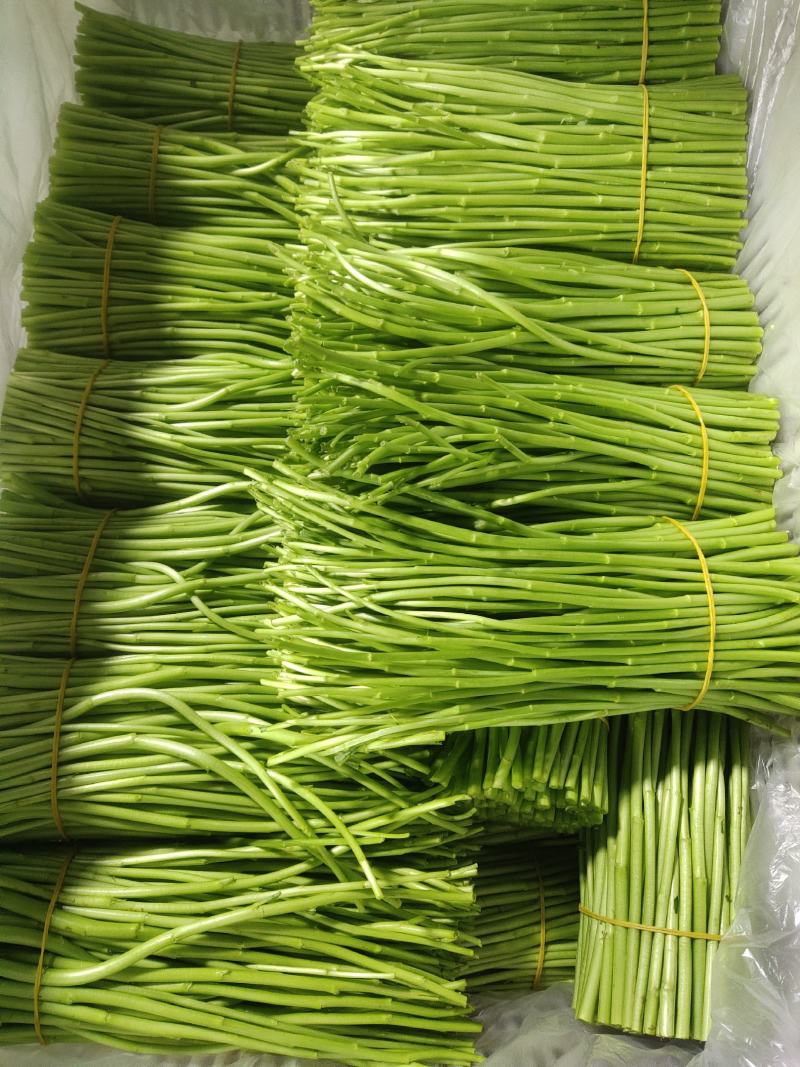 云南新鲜芦蒿