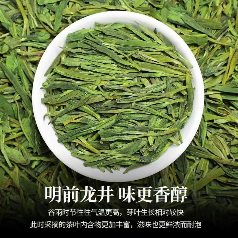 浙江龙井茶2023新茶绿茶茶叶浓香耐泡散装批发口粮茶代发