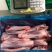 内蒙古大草原美洋洋羔羊前腱棒，全部5天内新货新鲜济南直发