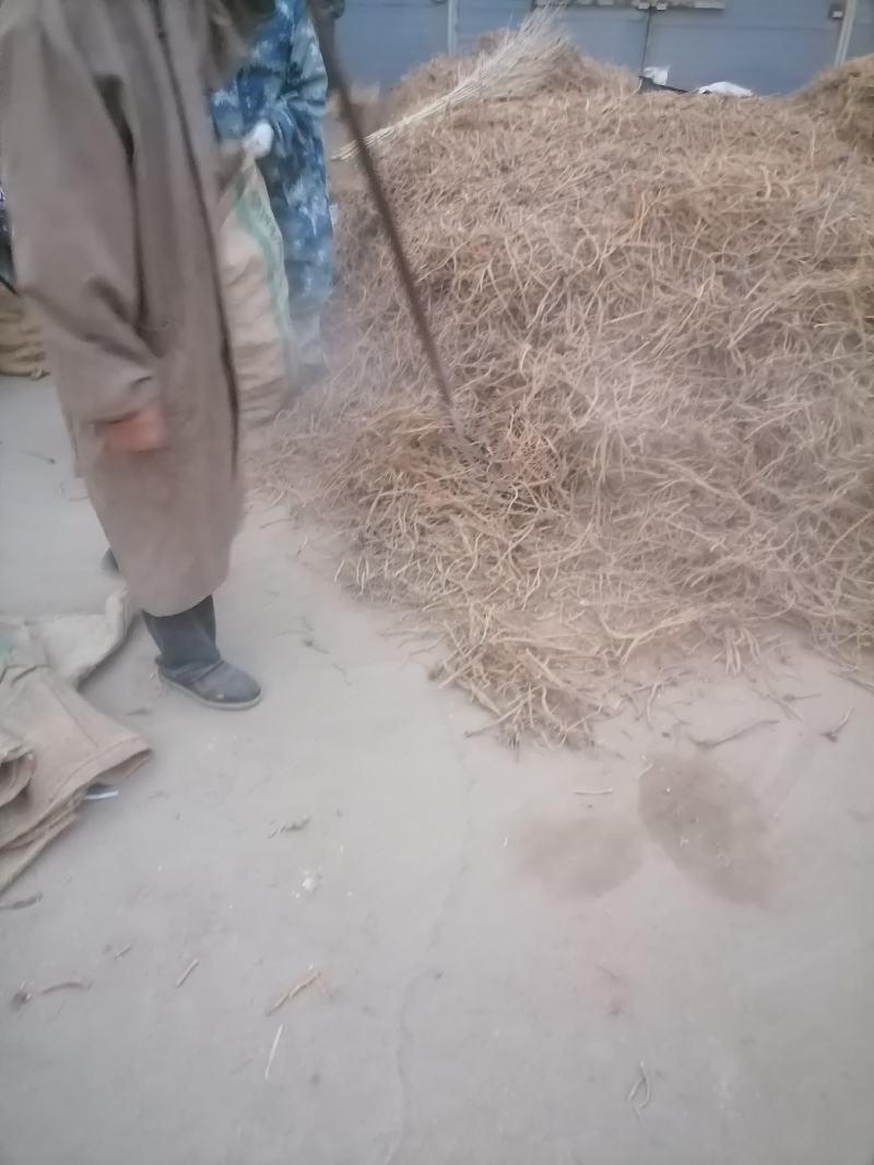 防风鲜货干货个子切片