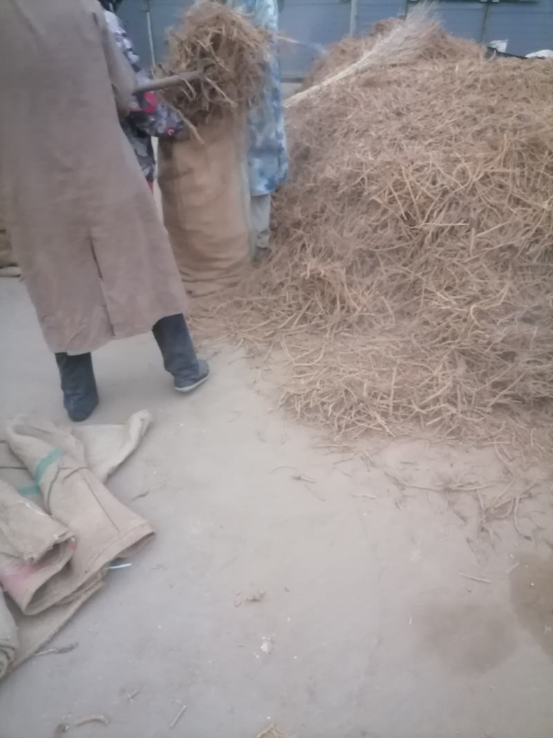 防风鲜货干货个子切片
