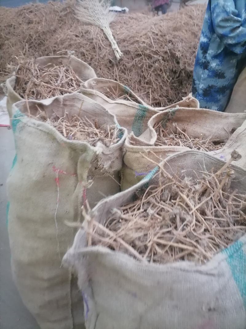 防风鲜货干货个子切片