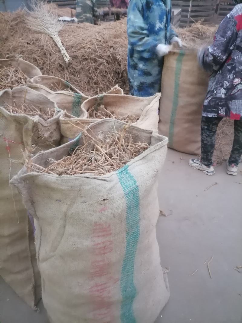防风鲜货干货个子切片