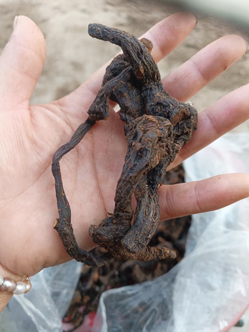 黄精一一一野生黄精九蒸九晒批发营养你我他