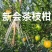 2025新会茶柑上市，东甲，梅岗，天马三江等产地可供釆摘