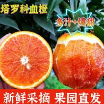 塔罗科血橙果园直供，批发电商团购，一件全国发货欢迎来