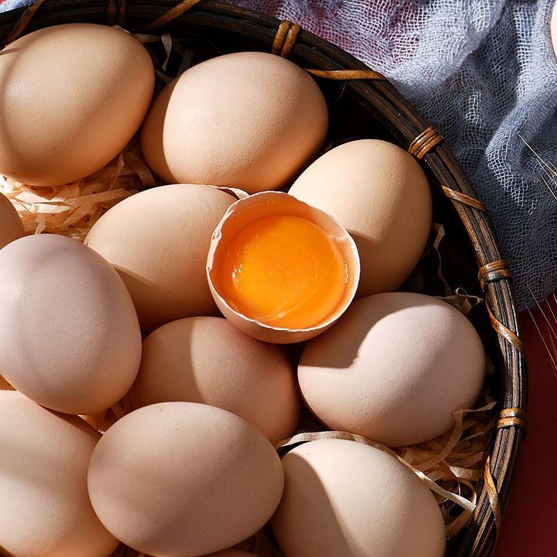 安徽谷饲喂养农家红壳蛋大量有货可视频看货欢迎来电咨询