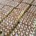 安徽谷饲喂养农家红壳蛋大量有货可视频看货欢迎来电咨询