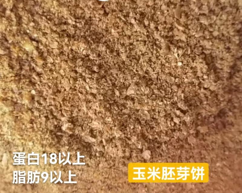 玉米次粉