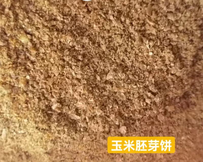 玉米次粉