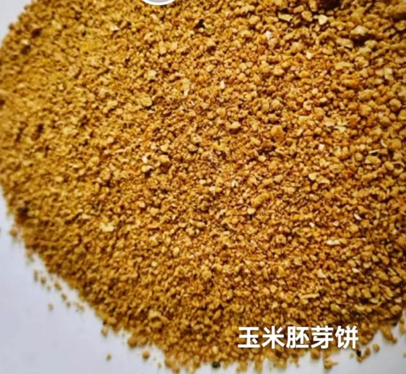 玉米次粉