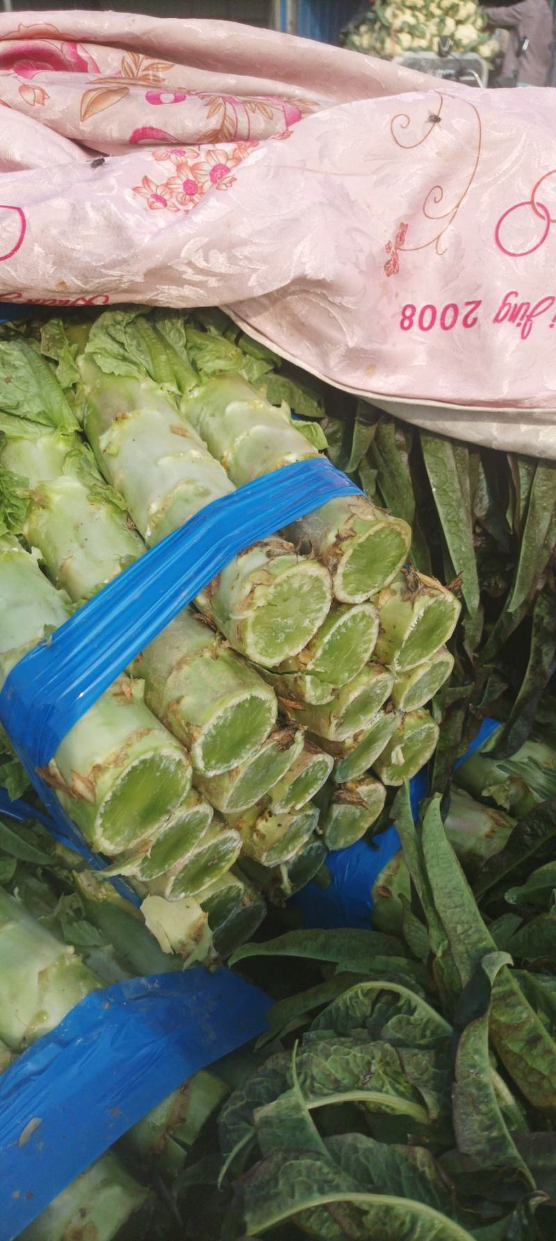 【热卖】精品万亩红叶莴苣基地大量有货保质量，价优，
