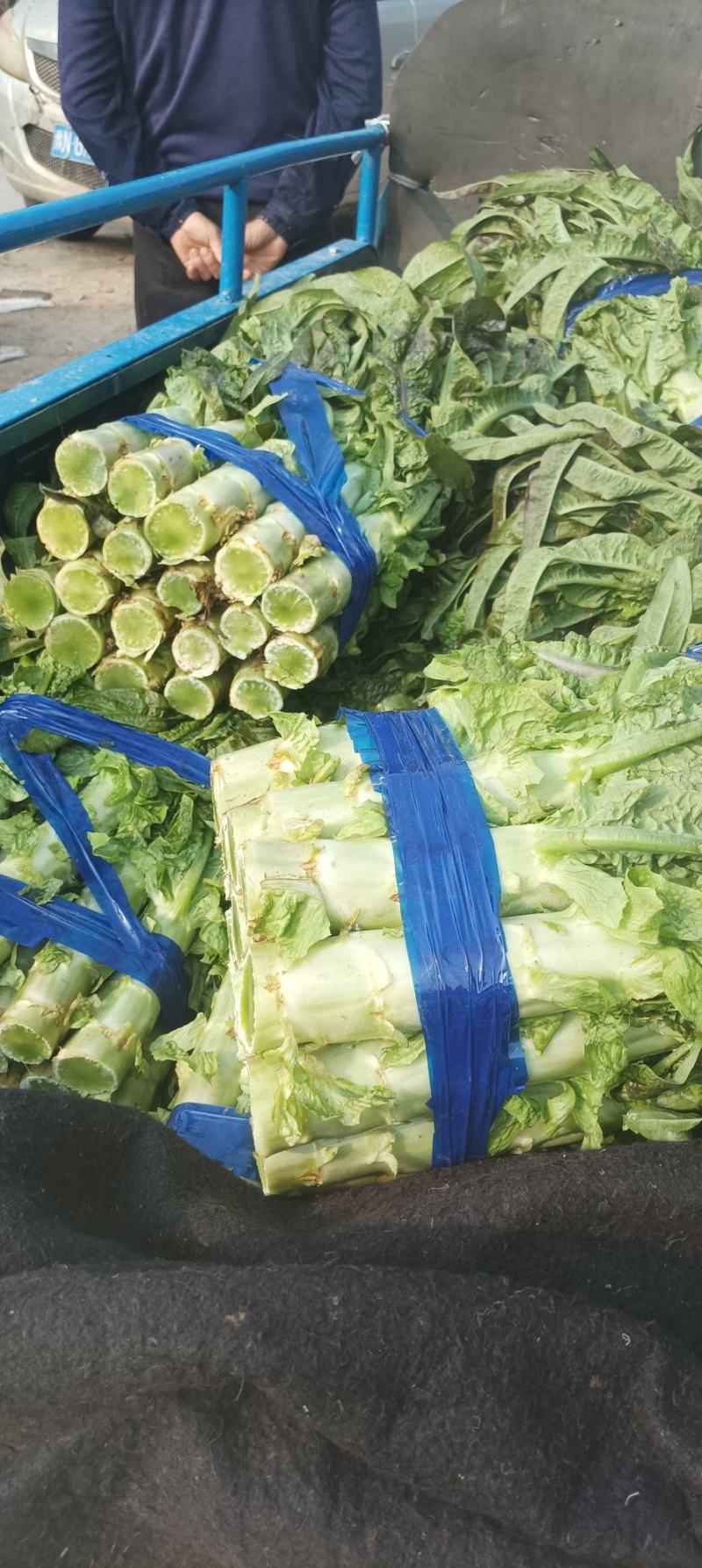【热卖】精品万亩红叶莴苣基地大量有货保质量，价优，