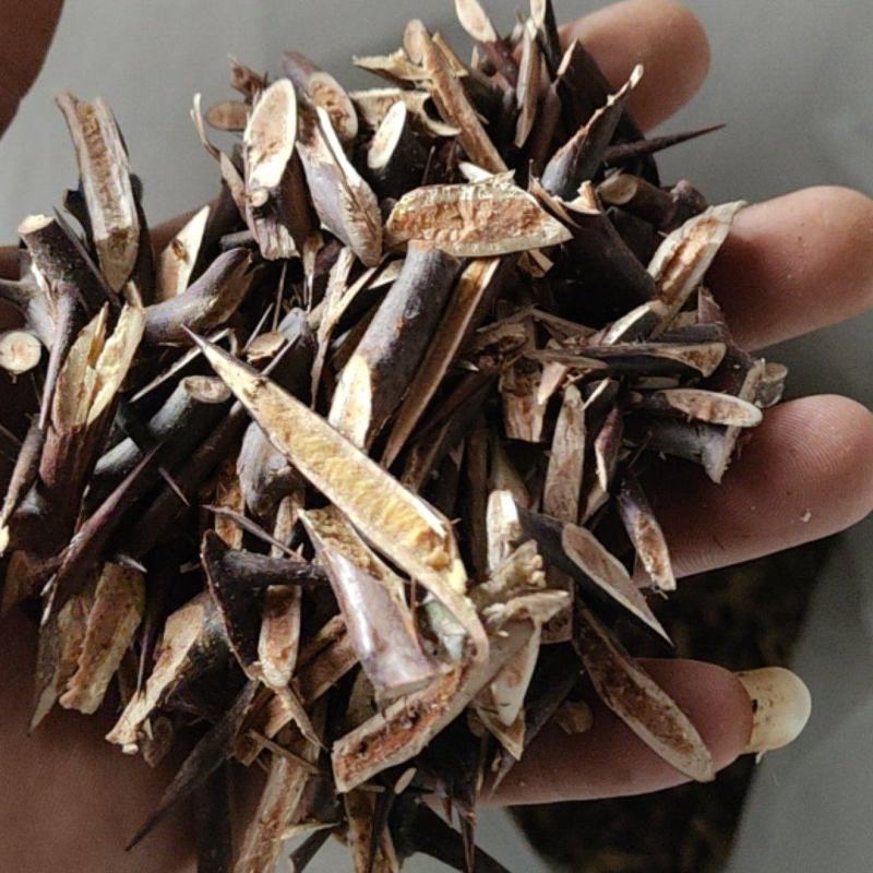皂角刺。皂角刺切片好发货好处理需要的