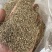 蛇床子干货，精选，手选，安徽亳州，干净过筛过风，