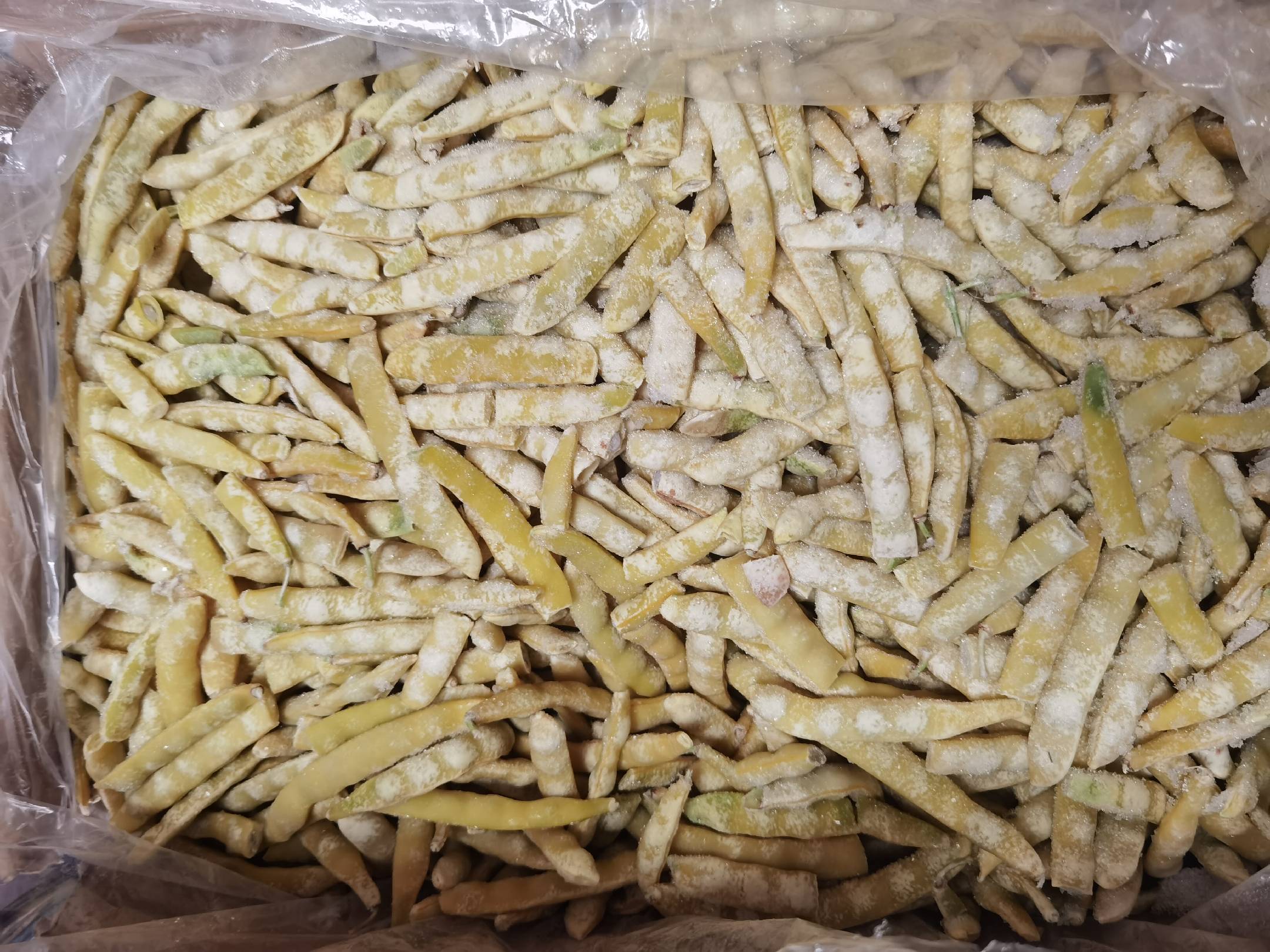 家庭主妇从冰箱中取出冷冻的白不老豆角准备烹饪