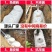 包邮化粪池罐家用自建房专用三格塑料桶特厚PE三级隔离