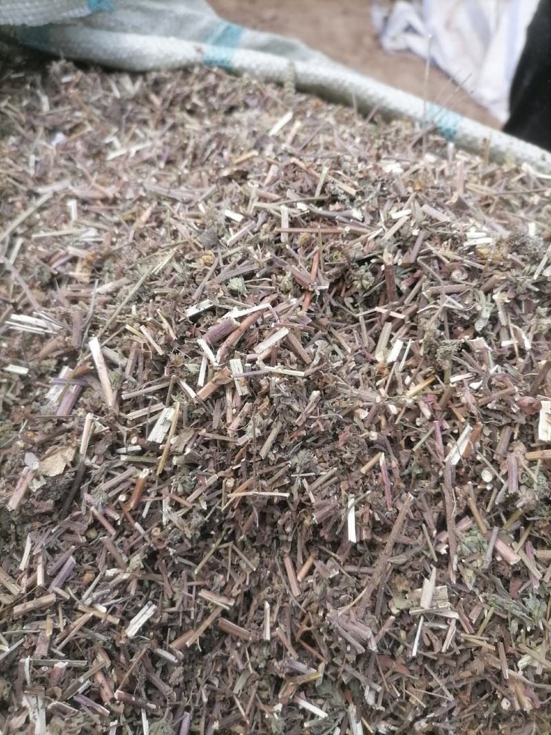 荆芥荆芥穗荆芥苏酥全荆芥
