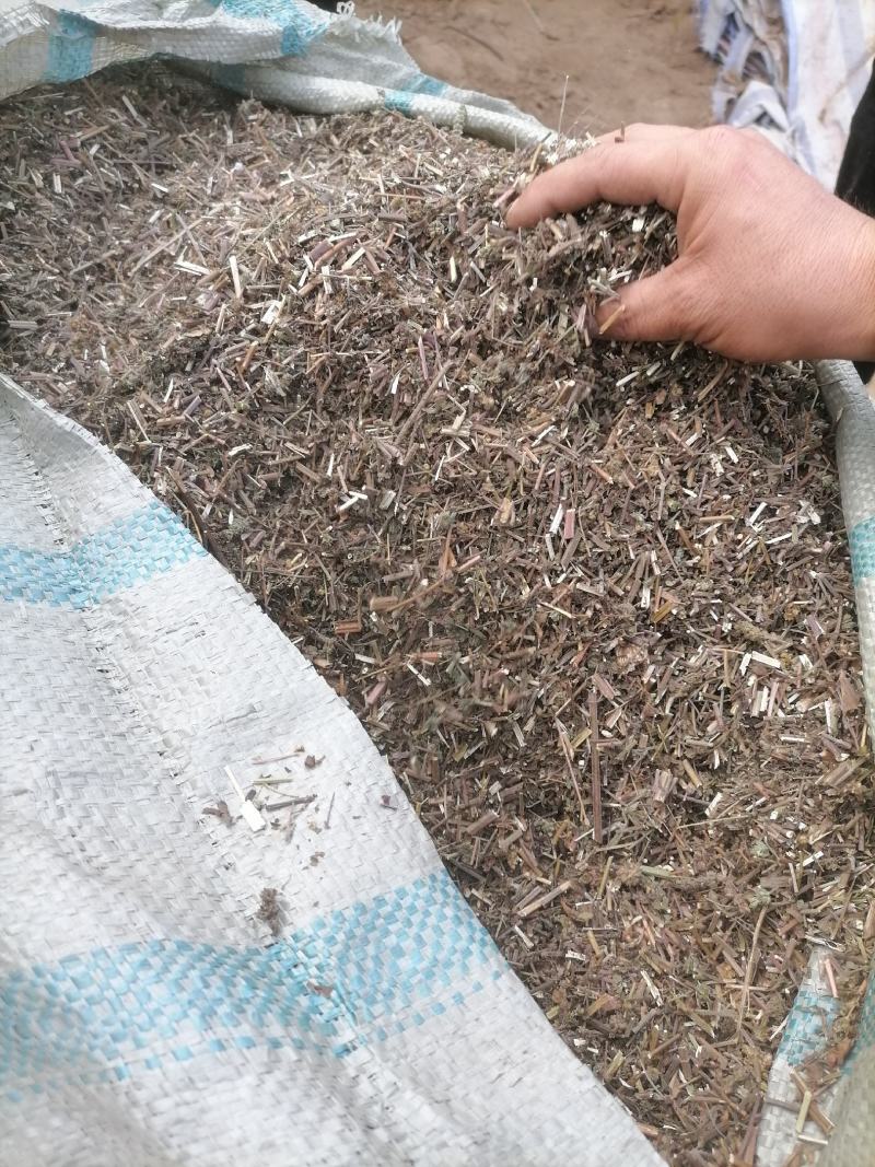 荆芥荆芥穗荆芥苏酥全荆芥