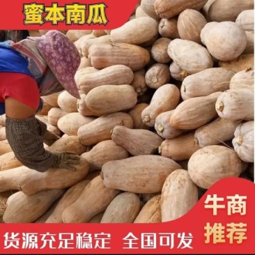 广东精品南瓜基地，超市，市场，一手货，承接电商
