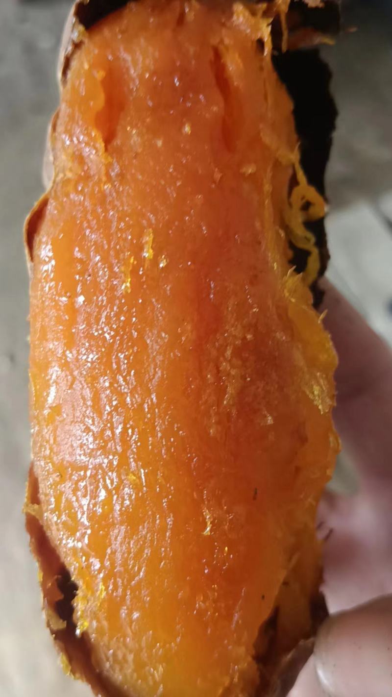 河北烟薯批发蜜薯产地一手货源全国发货规格齐全